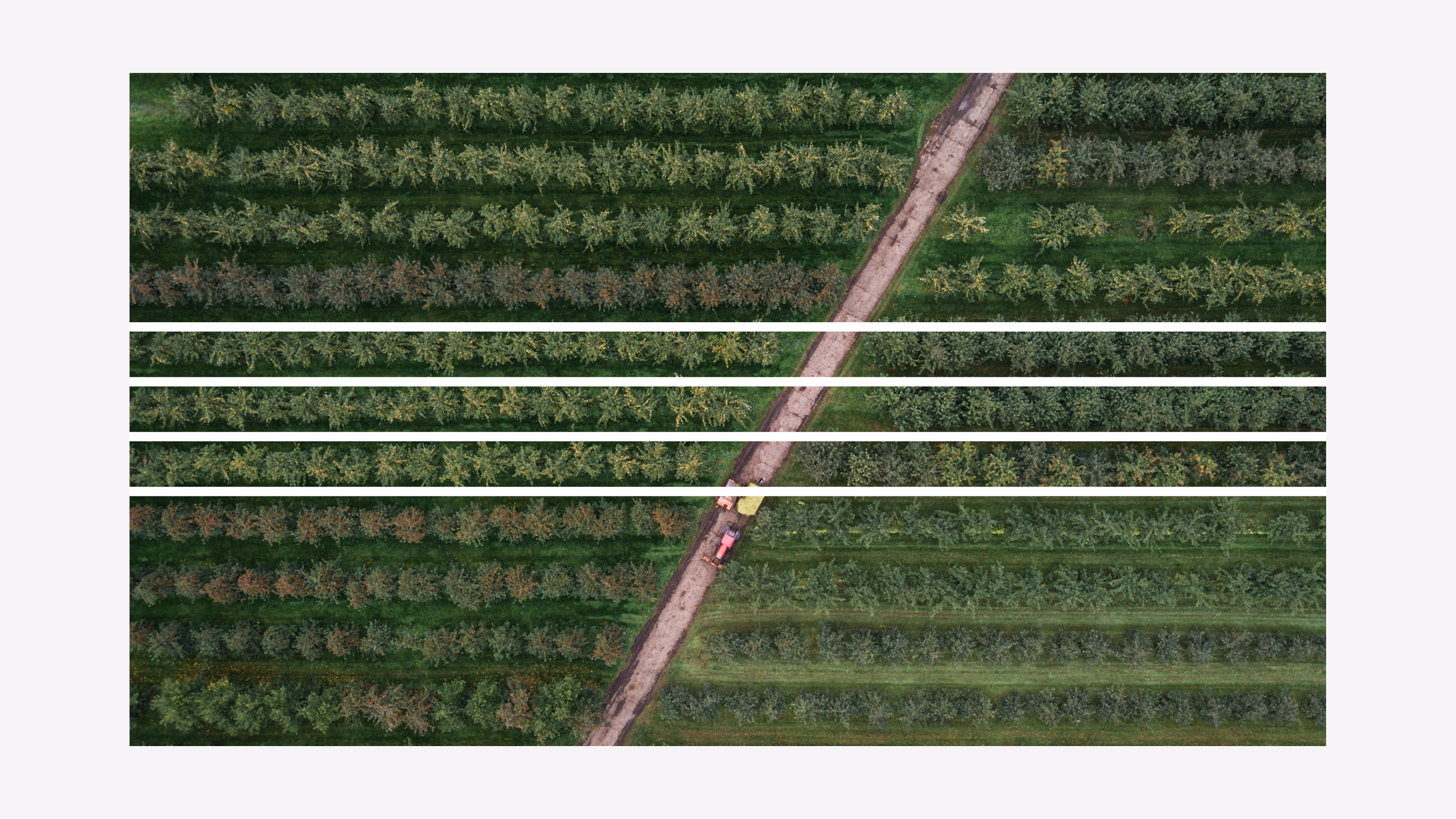 Grower — Responsive mobile screens with search, details, and booking